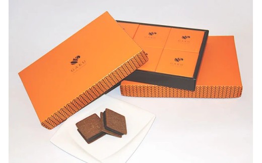 【信州ショコラトリーGAKU】GAKUチョコレートサンド6個セット（6個 Aセット：リッチカカオ2個・ミルク・信州くるみ・信州りんご・ラムレーズン各1個）│ ふるさと納税 信州 長野県 松本市 お菓子 おかし 甘い チョコ チョコレート サンド カカオ