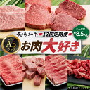 【ふるさと納税】【全12回定期便】お肉大好き 定期便 シルバーコース 長崎和牛 《小値賀町》【有限会社肉の相川】[DAR039] ヒレ肉 ロース 和牛 ミスジ サーロイン ステーキ 国産 肉 切り落とし サイコロステーキ 451000 451000円