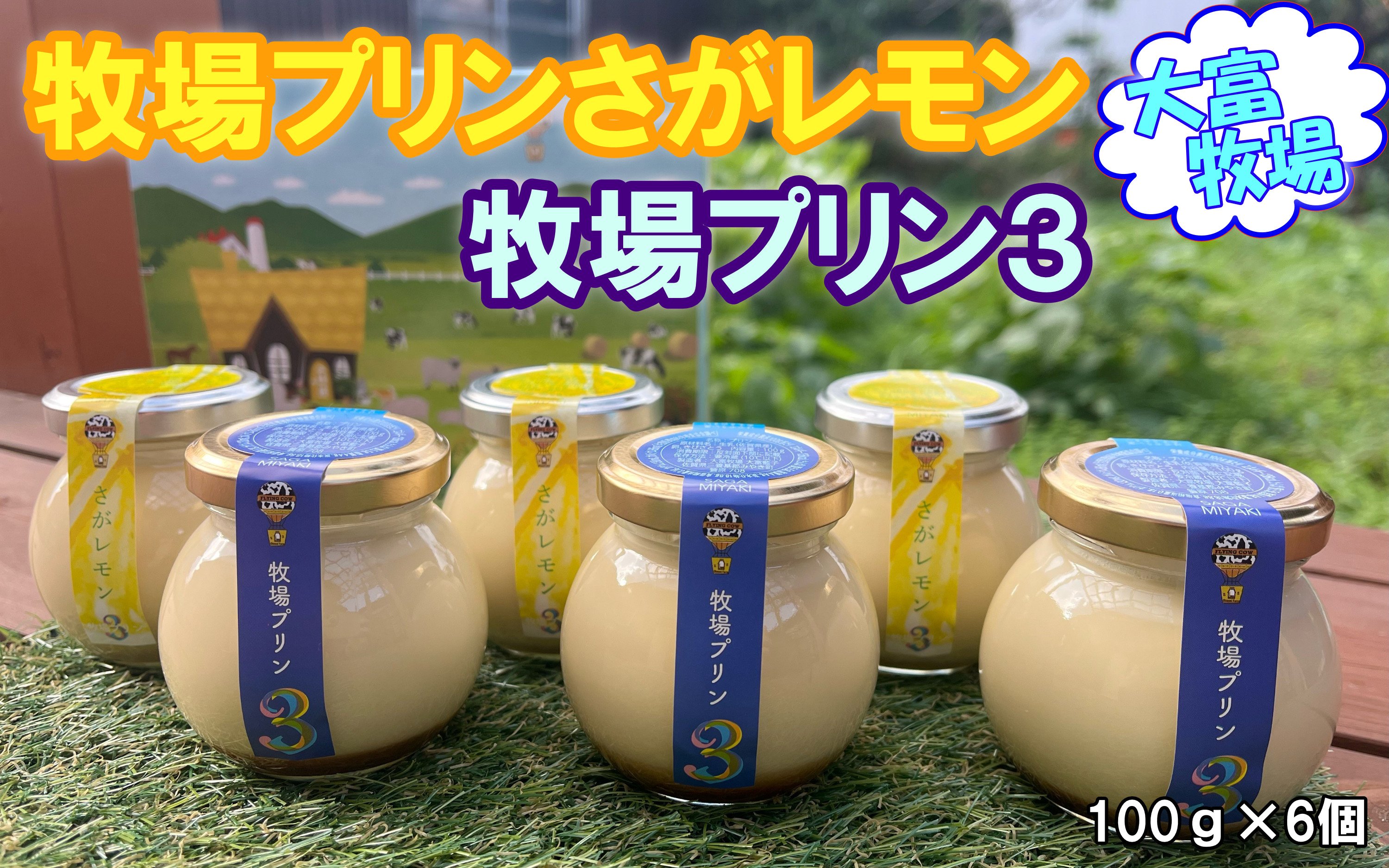 
            【セット】大富牧場(B4L2)牧場プリン3と牧場プリンさがレモン
          
