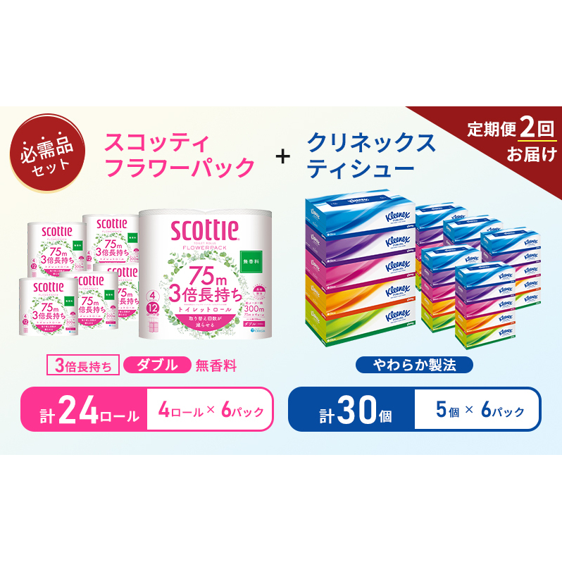 【 6ヶ月ごと計 2回お届け 】ティッシュ クリネックス 5箱入 × 6パック トイレットペーパー ダブル スコッティ 3倍長持ち 4ロール × 6パック フラワーパック