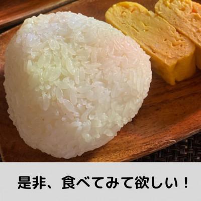 ふるさと納税 柏崎市 重米食べ比べセット　R6年産 |  | 03