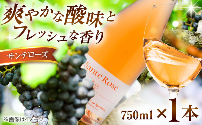 【2025年新作】サンテローズ（カベルネソーヴィニヨンロゼ・スパークリング）750ml×1本 ワイン お酒 ぶどう 島根県雲南市/有限会社奥出雲葡萄園 [AICS090]