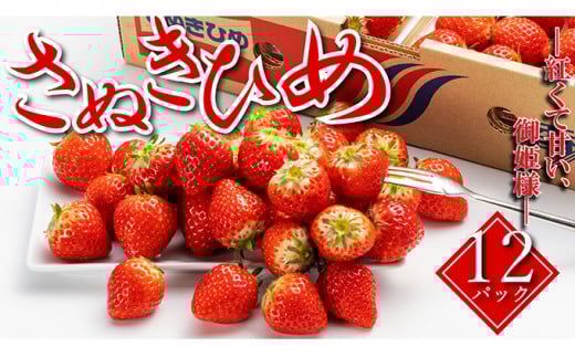 【早期予約】【2026年1月中旬以降発送開始】【秀品】いちご さぬきひめ 12パック 丸亀の紅い宝石 苺 イチゴ いちご人気 フルーツ 果物 デザート 旬 産地直送 旬の果物 旬のフルーツ お取り寄せ 取り寄せ 冷蔵 冷蔵配送