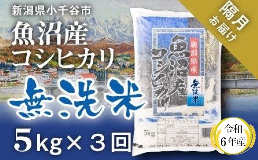 KT37P344 令和6年産 無洗米 魚沼産コシヒカリ定期便5kg×3回【隔月お届け】（米太）