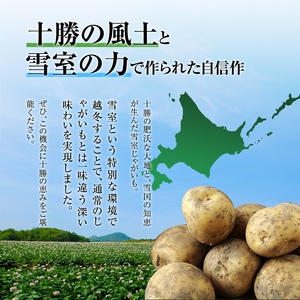 北海道産 熟成じゃがいも メークイン 10kg  期間限定 雪室貯蔵 十勝産 ジャガイモ じゃが芋 いも 甘い