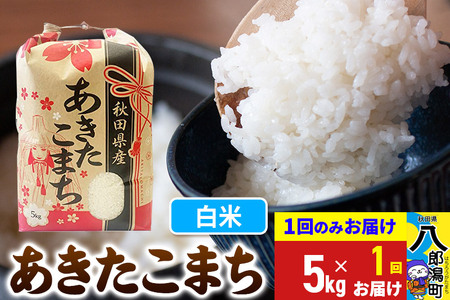 あきたこまち 5kg【白米】令和6年産 秋田県産 こまちライン