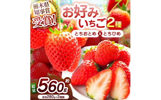 【2027年先行予約】元祖とちおとめ×幻のとちひめ 食べ比べセット 560g