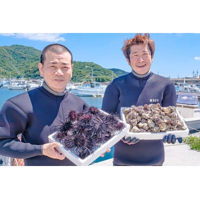 ふるさと納税 長門市 瓶詰めウニ 60g×4本 合計240g (1412) |  | 01
