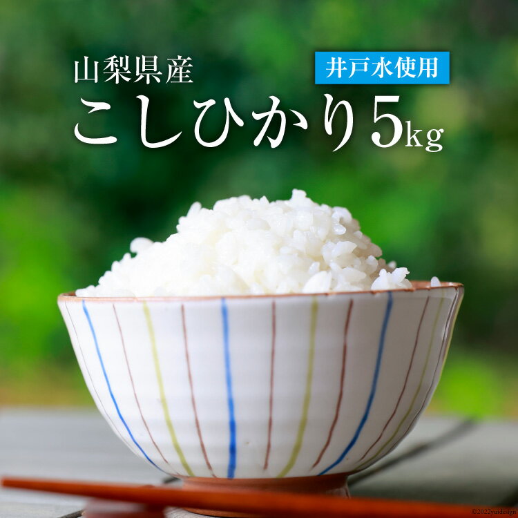 【ふるさと納税】【令和7年産】こしひかり 5kg 令和7年 コシヒカリ 5キロ お米 米 こめ コメ ご飯 ごはん 白米 精米 山梨県 中央市 送料無料