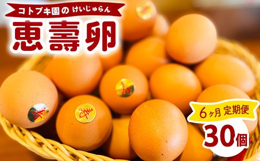 【定期便6ヶ月】当社自慢の卵 恵壽卵 30個入り | 卵 たまご タマゴ けいじゅらん 鶏卵 玉子 国産 定期便 6ヶ月 6カ月 6か月 先行予約 先行受付　※離島への配送不可