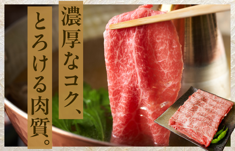 【氷温熟成×極味付け】黒毛和牛 A5等級 肩ロース 1kg（500g×2）すき焼き しゃぶしゃぶ mrz0003