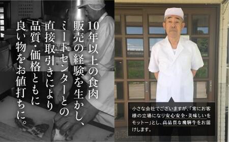 飛騨牛 定期便６か月 国産和牛 ステーキ 定期便 6回　FC103