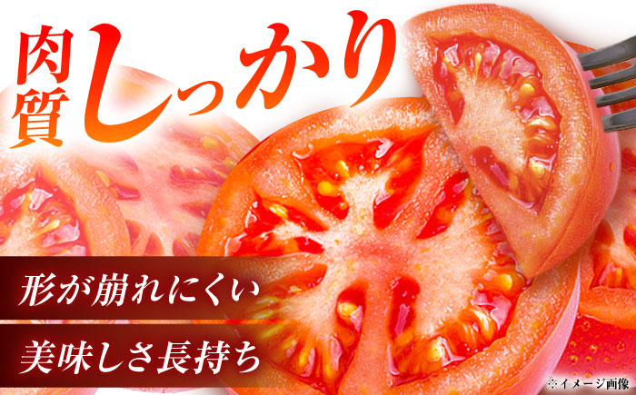 赤熟もぎりのひがしみの王様トマト 20玉（約4kg） / トマト とまと 王様トマト 完熟 / 恵那市 / 東美濃農業協同組合 [AUDS002]