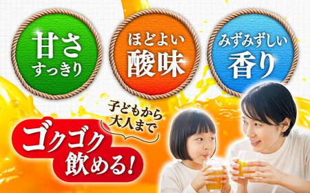 【毎月10個限定】 サンレイみかんジュース　「さがみかん100％搾り」　330ml×12本 2箱セット 吉野ヶ里町/佐賀県農業協同組合[FBE047]
