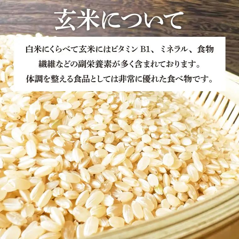 【玄米】令和7年産 特別栽培米 ひとめぼれ10kg CP033 完熟あさ陽米