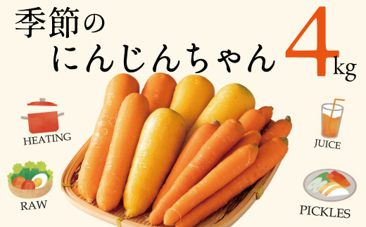 
【個数限定】にんじん 約4kg『季節のにんじんちゃん』 野菜 人参　H116-040
