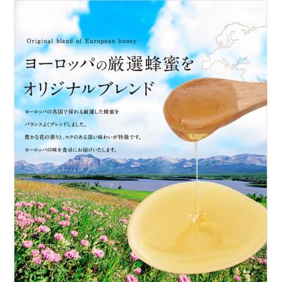 ふるさと納税 高森町 かの蜂 ヨーロピアン純粋蜂蜜 1kg(EU500g×2本)オリジナルブレンド(高森町) |  | 02