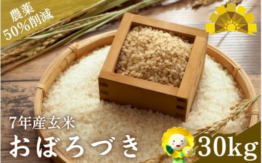 令和7年産 玄米 おぼろづき 新米 / 白米 玄米 ごはん こめ 北海道米 ※10月～順次発送 【kja400-obo-g30-R7A】