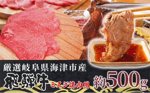 
[№5533-0311]【数量限定】【飛騨牛】海津市産ミスジ焼肉オリジナルカット 【配達不可：離島】
