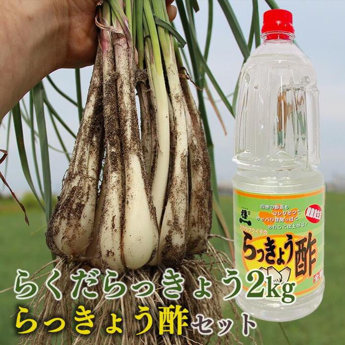 【ふるさと納税】327.【先行予約】朝堀りらくだらっきょうと老舗のらっきょう酢セット　※5月中旬～6月下旬頃に順次発送予定 | らっきょ らっきょう 漬物 鳥取県 北栄町 おすすめ 人気 送料無料