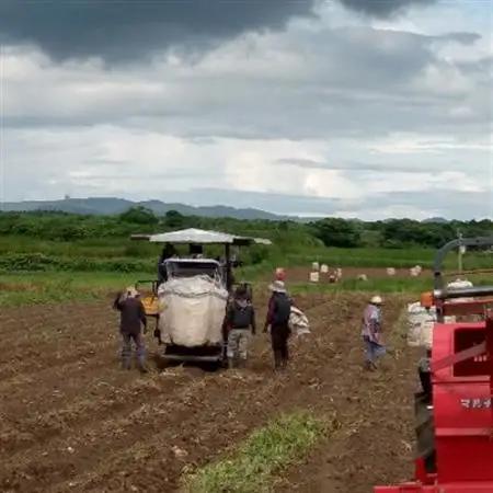 【本格焼酎】南之方　1800mlパック×3パック B6-5【配送不可地域：離島】【1720400】