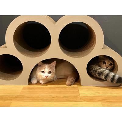 ふるさと納税 常滑市 猫の爪とぎ　肉球型【ナチュラル】 |  | 02