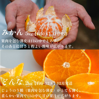 【発送月固定定期便】愛媛の美味しい柑橘 人気6品種 まどんな・甘平・せとか等【H70−41】全6回【4055158】
