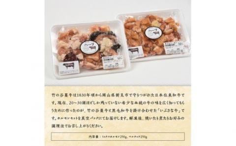 いぶさな牛　ホルモンセット 【 肉 牛肉 黒毛和牛 精肉 希少 宮崎県川南町 】