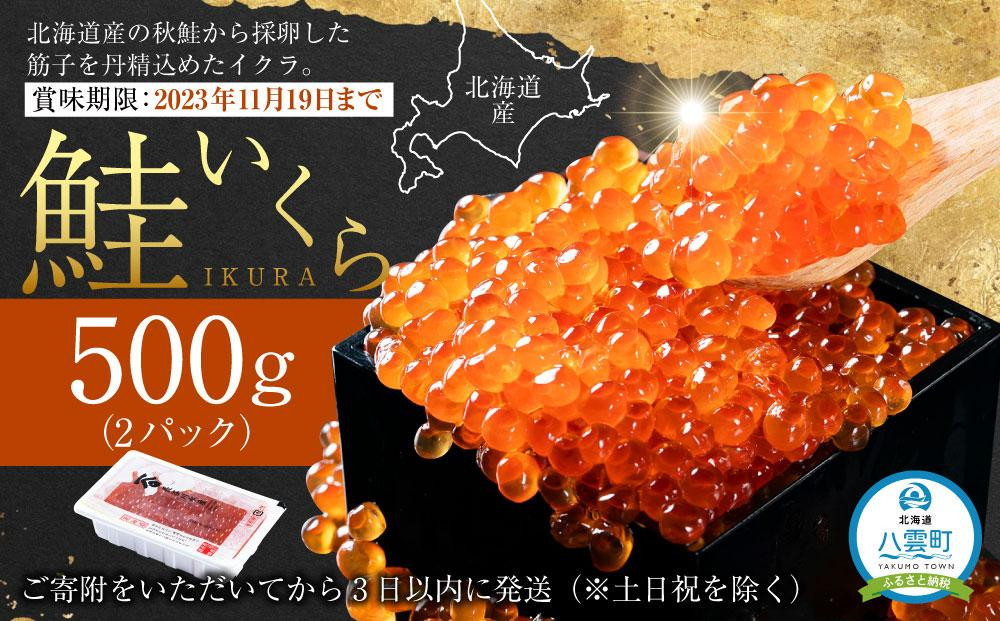 
【賞味期限まもなく】北海道産　鮭いくら醤油漬500g(250g×2箱) 【 いくら醤油漬け いくら醤油漬 北海道 小分け 鮭 海産物 魚介類 水産物応援 水産物支援 年内発送 年内配送 】
