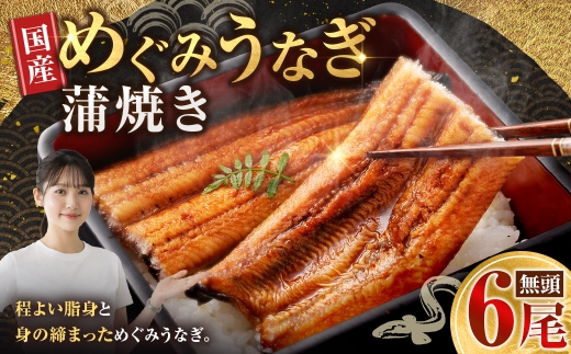 【7月13日までの入金確認で土用の丑の日までにお届け】めぐみうなぎ 蒲焼き 6尾 セット うなぎ 鰻 ウナギ 魚類 うな重 うな丼 晩ごはん 惣菜 おかず 贅沢 冷凍 国産 大阪府産 養殖 無投薬
