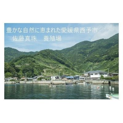 ふるさと納税 西予市 <真珠とシルクのグラスコード・マルチカラー>　アコヤ　ファッション　アクセサリー　パール　高品質 |  | 02