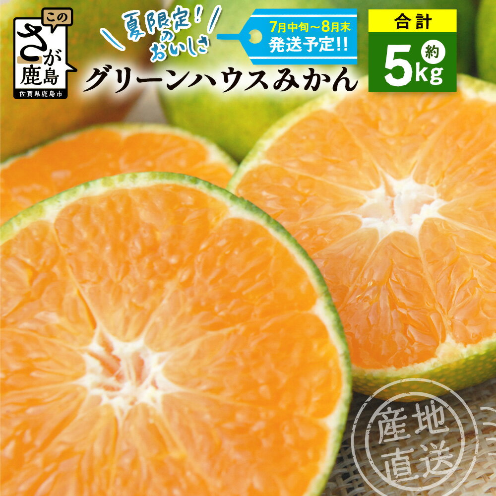 【ふるさと納税】終了間近！グリーンハウスみかん 5kg みかん 蜜柑 ミカン ハウスみかん フルーツ 果物 くだもの 果実 冷蔵 フレッシュ 美味しい 人気 ビタミンC 健康 甘み 酸味 完熟【2026年7月中旬から発送予定】佐賀県 鹿島市 送料無料 C-2
