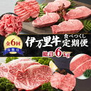 【ふるさと納税】伊万里牛食べつくし定期便（寄附額30万円コース） J253