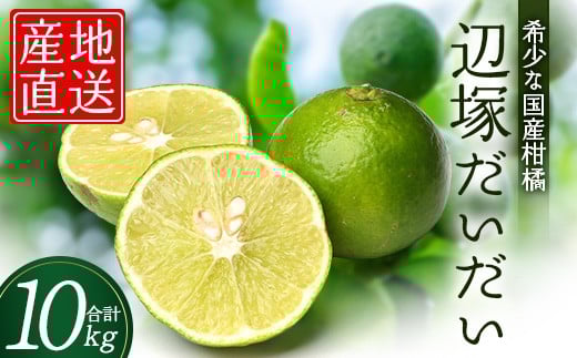 
            辺塚だいだい 約10kg NK-3｜果物 柑橘 辺塚だいだい へつか 産地直送 詰め合わせ 10kg 国産 新鮮 おすすめ 人気 南大隅町
          