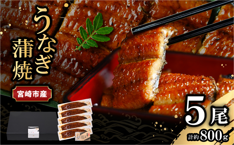 宮崎県宮崎市産 うなぎの蒲焼 約800g(約160g×5尾) タレ・山椒セット 国産 うなぎ 蒲焼き 5尾 鰻 ウナギ 蒲焼 うなぎ蒲焼 うなぎ蒲焼き タレ 山椒 冷凍 パック 電子レンジ レンジ ひ