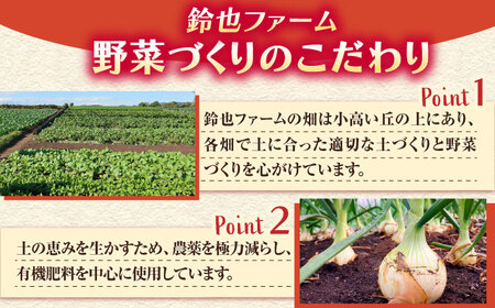 すずなり採れたて野菜BOX（定期便）60サイズ 12ヶ月 横須賀市 野菜 旬 サラダ セット 採れたて おまかせ 新鮮 直送