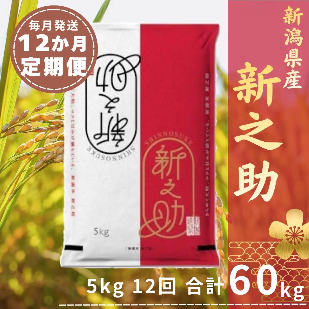 【令和8年産新米予約】【12ヶ月定期便】 新之助 5kg×12回 計60kg 白米 精米 井上米穀店 新潟県 米 こめ コメ  新米 新米予約 令和8年度産 11月上旬より順次発送予定 1I22121