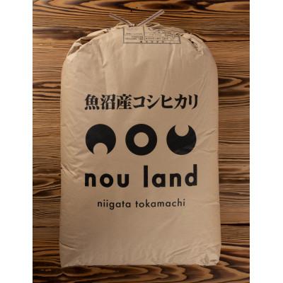 ふるさと納税 十日町市 【令和7年産】　魚沼産コシヒカリ玄米30kg