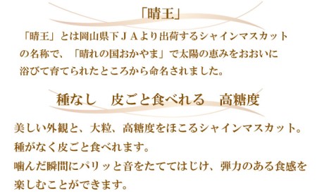 ぶどう 2026年 先行予約 シャイン マスカット 晴王 約600g×2房 8月下旬～11月下旬発送 ブドウ 葡萄  岡山県産 国産 フルーツ 果物 ギフト 岡山の葡萄 デザート 食後 