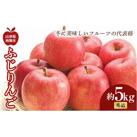 【令和7年産先行予約】 ふじりんご 約5kg (10～18玉 秀)  《令和7年11月中旬～12月下旬発送》 『フードシステムズ』 林檎 リンゴ 果物 フルーツ デザート 山形県 南陽市 [851-R7]