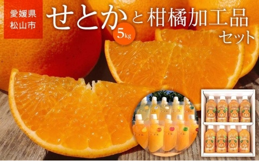 【2027年3月上旬頃から順次発送】 家庭用 せとか 5kg と 柑橘加工品セット | 愛媛 みかん 先行予約 蜜柑 柑橘 果物 くだもの フルーツ お取り寄せ グルメ 期間限定 数量限定 人気 おすすめ 愛媛県 松山市