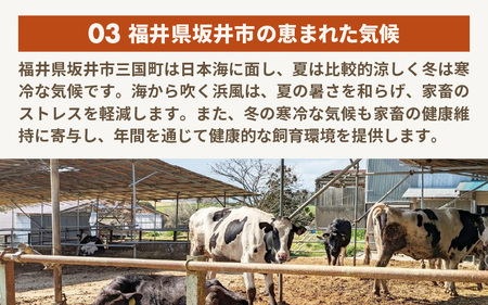 【先行予約】はんすうカップアイス バラエティパック A（6種類入）【2025年12月上旬より順次発送予定】【アイス ジェラート ひんやりスイーツ スイーツ デザート お菓子 洋菓子 詰め合わせ 食べ比