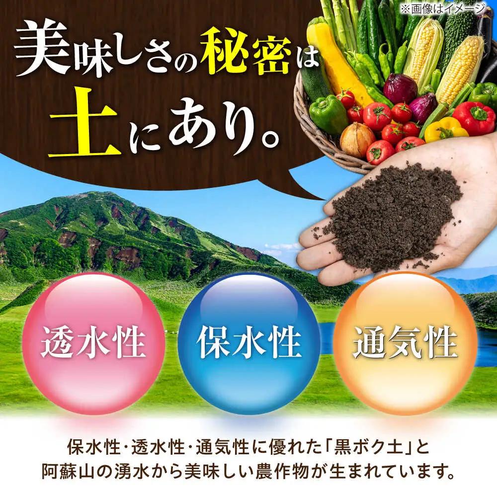 全6回定期便 旬の 野菜 セット 約3kg 野菜 7-8品程度 BHAK025