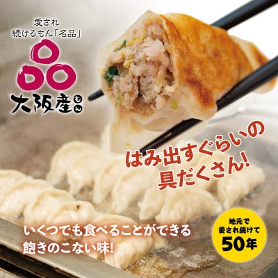 【大阪産(もん)名品】雁飯店の生餃子(冷凍)96個餃子(たれなし)【配送不可地域：離島】【1369738】