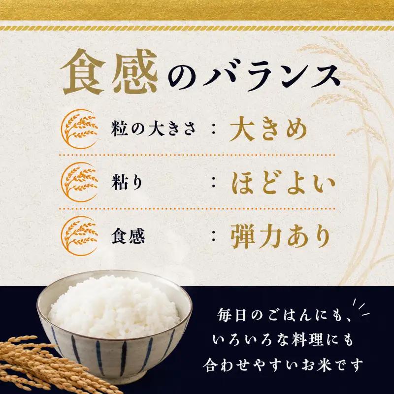 無洗米 令和7年 粒すけ 10kg ブランド米 無洗米