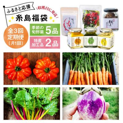 ふるさと納税 糸島市 【全3回定期便】朝採りオーガニック旬野菜5品+糸島産 大ヒット特産加工品2品セット[AGE029]