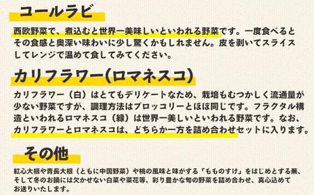 野菜 まさに旬 ほっこり温野菜セット -お野菜詰め合わせ 朝採れ 朝採り 新鮮 お手軽 簡単調理 ブロッコリー 人参 にんじん ニンジン カリフラワー 大根 だいこん かぶ カブ ブロッコリー 人参 