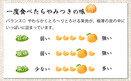 AD-AB1 ＜訳あり＞農林水産大臣賞受賞農園！ふるやさんちの温室せとか(約5kg・20～24玉※サイズ混合)【ふるやさんちのみかん園】
