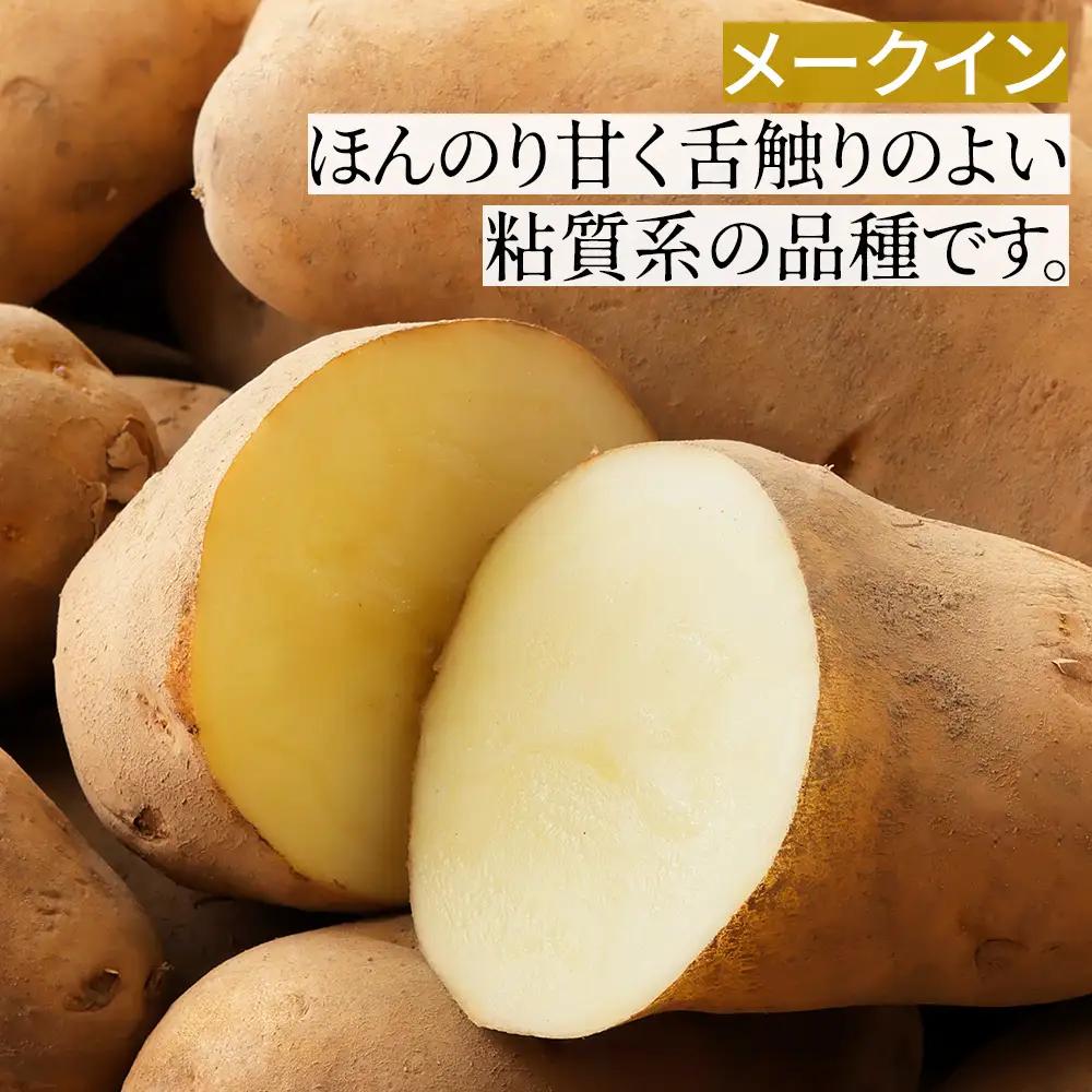 2026年産 先行予約 北海道産 越冬 インカのめざめ メークイン ごぼう セット 計9kg 北海道 上士幌町 西原農場 野菜 熟成 じゃがいも ジャガイモ インカ インカの目覚め 馬鈴薯 詰め合わせ