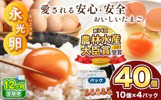 【 定期便 12回 】2週間以内に発送 メディア紹介多数！ おいしいたまご 永光卵 40個 | えいこうらん 光永ファーム 卵 たまご 定期便 定期 12回 君津市産 千葉 君津 きみつ 早く届く すぐ すぐ発送